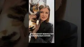 Артикул лакомств на OZON: #1603916216 #веселыекоты #юмор #прикольныекоты #кошки