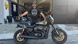 HARLEY DAVIDSON STREET ROD 750cc 2017