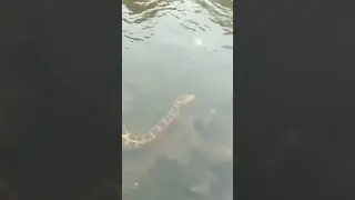 KONA UPPALAPADU WATER FALLS LO  KONDASILUVA