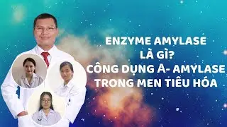 ENZYME AMYLASE L&Agrave; G&Igrave;? C&Ocirc;NG DỤNG &Alpha;- AMYLASE TRONG MEN TI&Ecirc;U H&Oacute;A