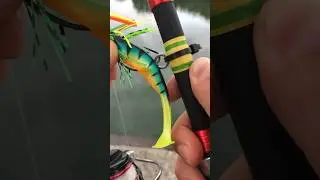 Astuce pour la p&ecirc;che