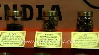 Collection of medicinal plants from India