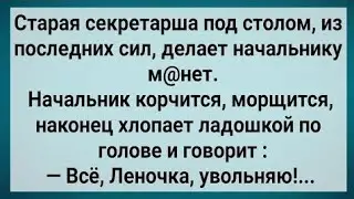 АНЕКДОТЫ СТАРАЯ СЕКРЕТАРША УХОДИТ С РАБОТЫ...