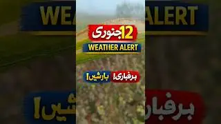 12 January Weather Alert ⚠️ | Cold ❄️ Fog 🌫️#12January #WeatherShorts #Pakistan