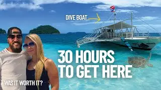SCUBA DIVING the Philippines | Bohol, Dauin, and MORE! ( Is it worth it?)