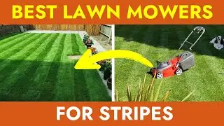 4 Best Lawn Mower for Stripes | Top Models for 2026 with a Rear Roller!