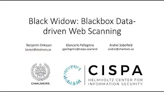 Black Widow: Blackbox Data-driven Web Scanning