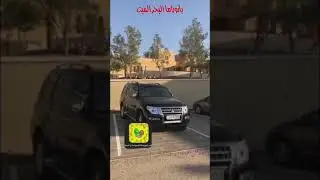 جولة قبل الكورونا في البحر الميت