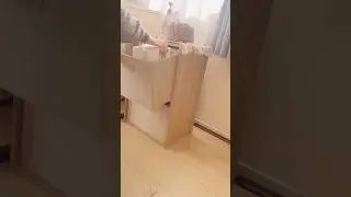 ドラッグストア購入品🛒色々値上がりしすぎ、、🥲#asmr #主婦 #生活音 #購入品紹介