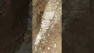 During a field work, we saw a quartz vein which intruded into mudstone rock.