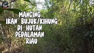 MANCING IKAN BUJUK / KIHUNG DI HUTAN RIAU..!! SNAKEHEAD