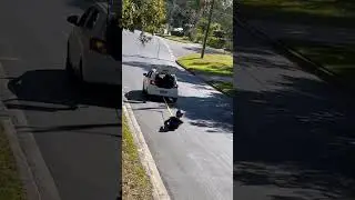 Джинсы определенно сработали #мотоцикл #байкер #стильжизнибайкера #motovlog