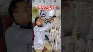 Ribs & Bone Fracture Healing Process #trending #shorts