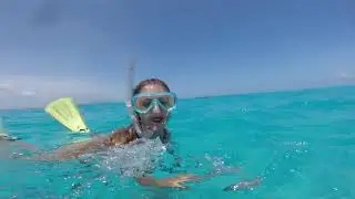 Zanzibar Vlog Escursioni - Mnemba/ Blu Safari/ Quad/ Prison Island