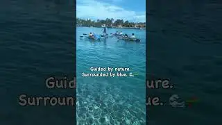 Our guide out front, the group flowing behind, and miles of stunning blue Jupiter water all around.