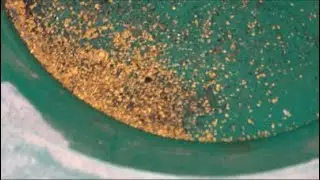 al gold prospecting is live! Al gold is back