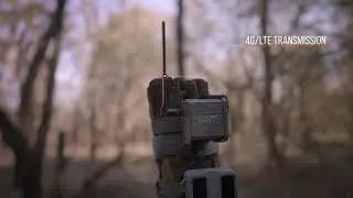 The CELL-LINK Universal Cellular Adapter | SPYPOINT