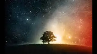 Adam K - You're Not Alone (Adam K & Soha Radio Edit)