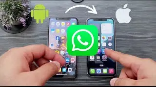 How to Transfer WhatsApp Data from Android to iOS for Free❗