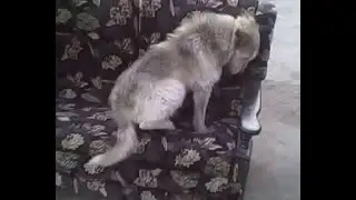 MOV 0000017