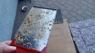 Clean The Crumb Tray
