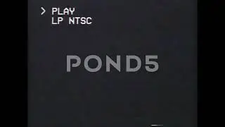 A VHS/VCR/LP/NTSC/SP/PAL overlay that I've found after 12 days