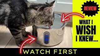 Amazon Finds - Automatic Cat Filtered Water Dispenser - Product Review - Cat Finds