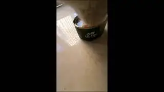🔴MeowCam🔴 2026-01-11 15:25:12