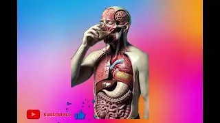 &ldquo;Garlic Benefits & Side Effects | Realistic 3D Inside Body Video&rdquo;