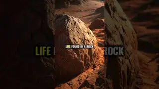 Mars Perseverance Rover Discovers Ancient Life Signs