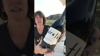 2017 Wrath Destruction Level Virtual Tasting with Wrath winemaker, Sabrine Rodems
