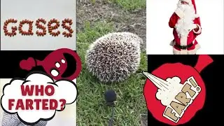 hedgehog fart, hedgehog farts, hedgehog farting, hedgehog virus farts, hedgehog art fart.
