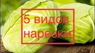 5 видов нарезки капусты на ПРОФИ B&Ouml;RNER