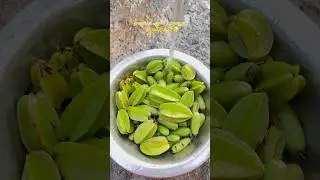 കൊതിപ്പിക്കട്ടേ😌🤤🏃🏾&zwj;♀️&zwj;➡️ #uppilittathu