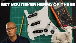 BEST Loaded Pickguard UNDER $75 Made by Lamsam