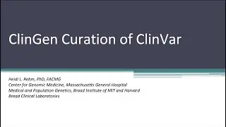 ClinGen Curation of ClinVar Project