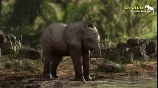 CAW Creature Animation Workshop works Jana elephant