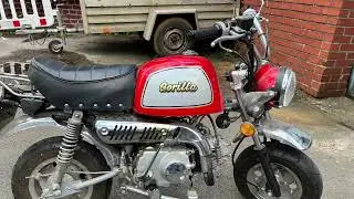 Skyteam Gorilla 110 cc