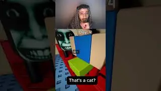 WHY DOES THE CAT LOOK LIKE THAT? #roblox #insomnia #shorts
