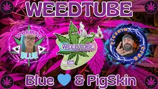 420 Sesh #LIVE #LIVESTREAM #420 #WEEDSTREAM #MARYJANE