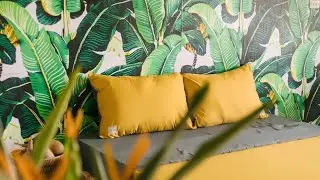 Zebra tropical, Hanoi, Vietnam | Travel With Bhumika