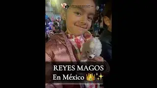 VVG Desfile de Reyes M&eacute;xico 2026