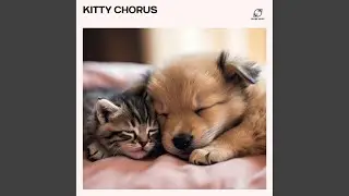 Pet Energy Healing Music