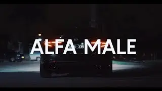 Alfa Male | Alfa Romeo | Short Film