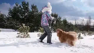 Global Pet Foods Winter 2024