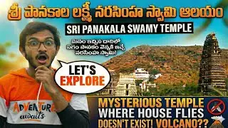 Sri Panakala Lakshmi Narasimha Swamy Temple | Bapatla To Mangalagiri | Full Tour | Bapatla Explorer