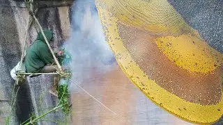 Primitive Technology: Catch A Giant Honey Bee for their family Food on the higher cliff   Mountain.
