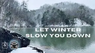 Winter Snowfall in Appalachia in 4K❄️ Gentle Water Sounds & Calm Piano for Sleep, Relaxation & Focus