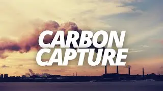 PSA #6 | Why and How to Sequester Carbon