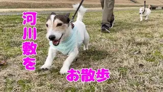 お正月休み最終日に大好きな河川敷にお散歩に行ってきました😊